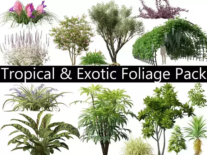 Tropical Exotic Foliage Pack 49