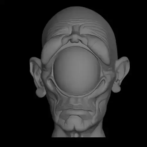 interesting head bust