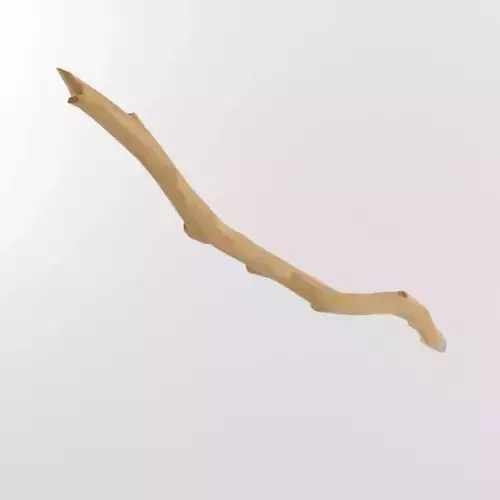 Wooden Stick Branch Staff Low Poly Game Ready asset