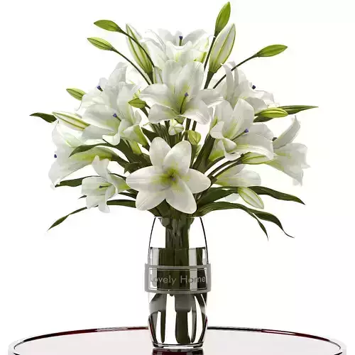 white lilly 3D model