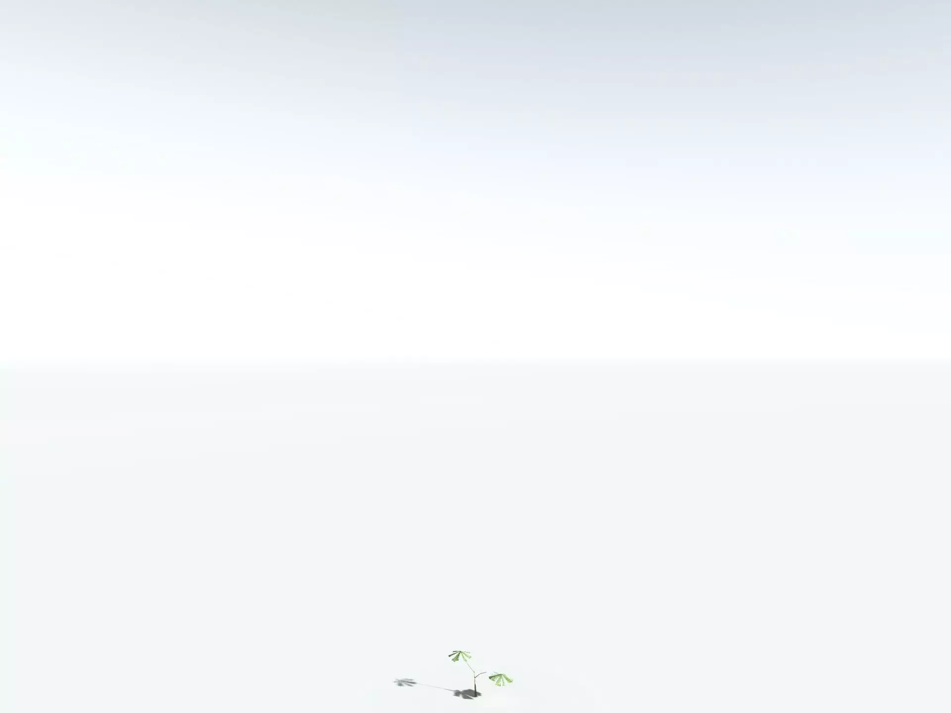 EVERYPlant Australian Fan Palm LowPoly Low-poly 3D model_28