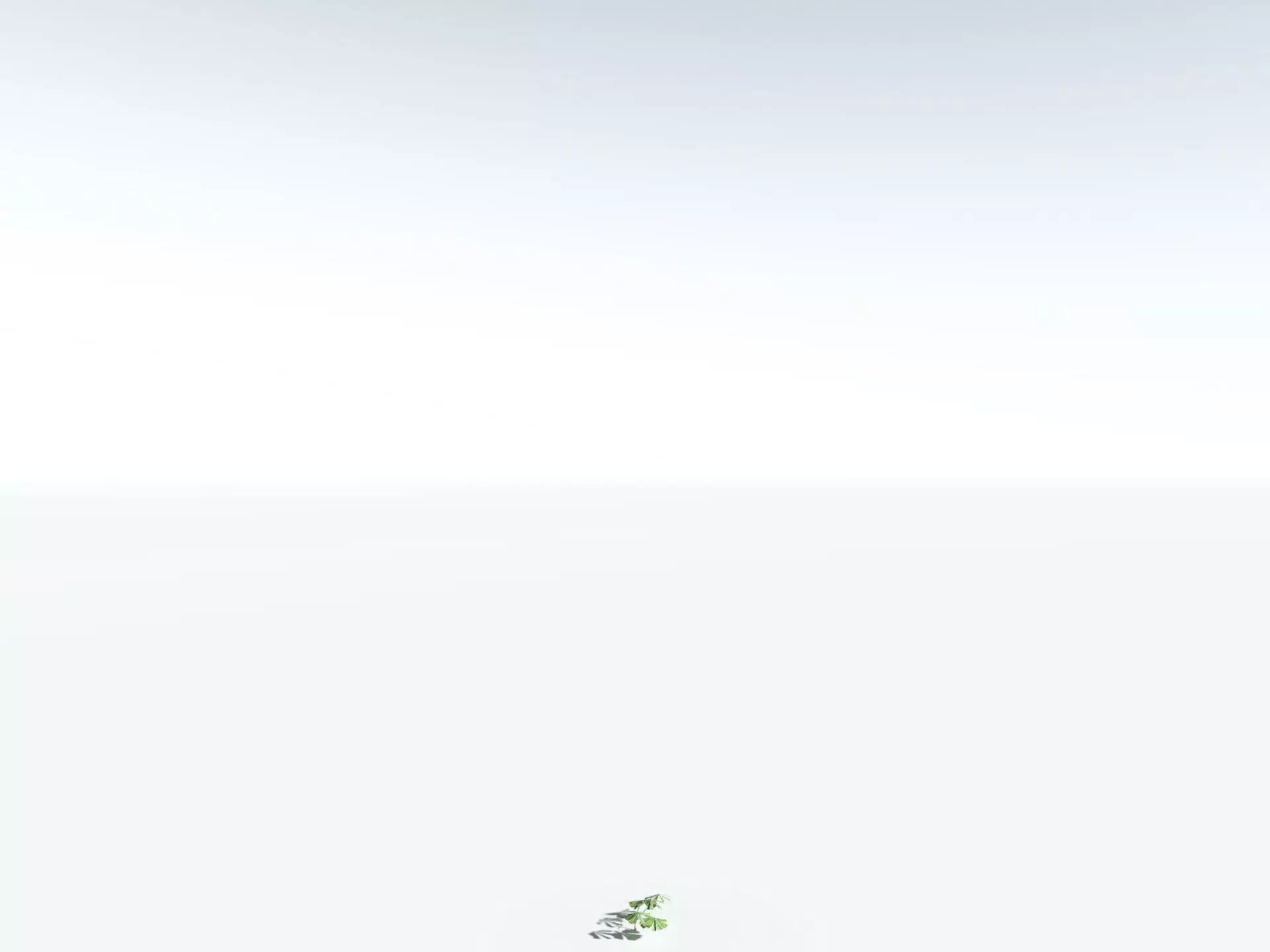 EVERYPlant Australian Fan Palm LowPoly Low-poly 3D model_30