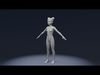 Rigged Stylized Human Body Base Mesh Rigged 3D Models 3D Model Collection_12