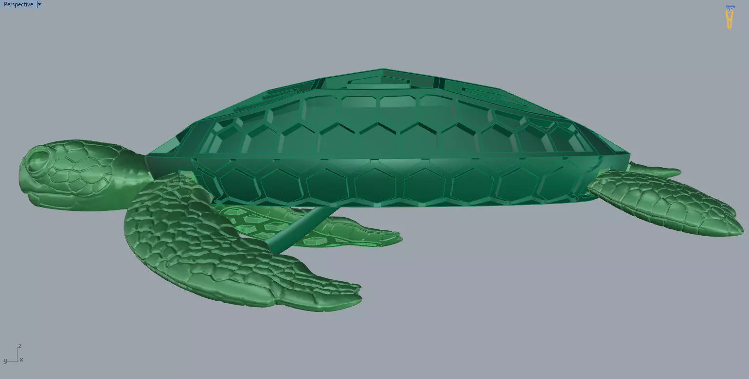 pendant Turtle 3D print model_7