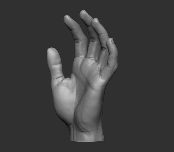 Hand pose 3 3D print model