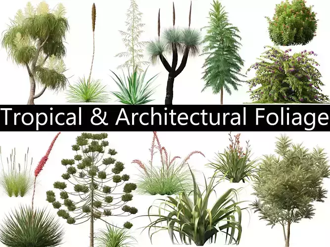 Tropical Architectural Foliage Pack 51