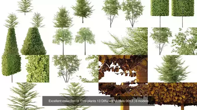 Excellent collection of Tree plants 13 Different Models 0013