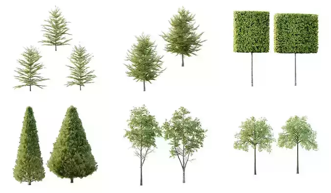 Excellent collection of Tree plants 13 Different Models 0013  Excellent collection of Tree plants 13 Different Models 0013