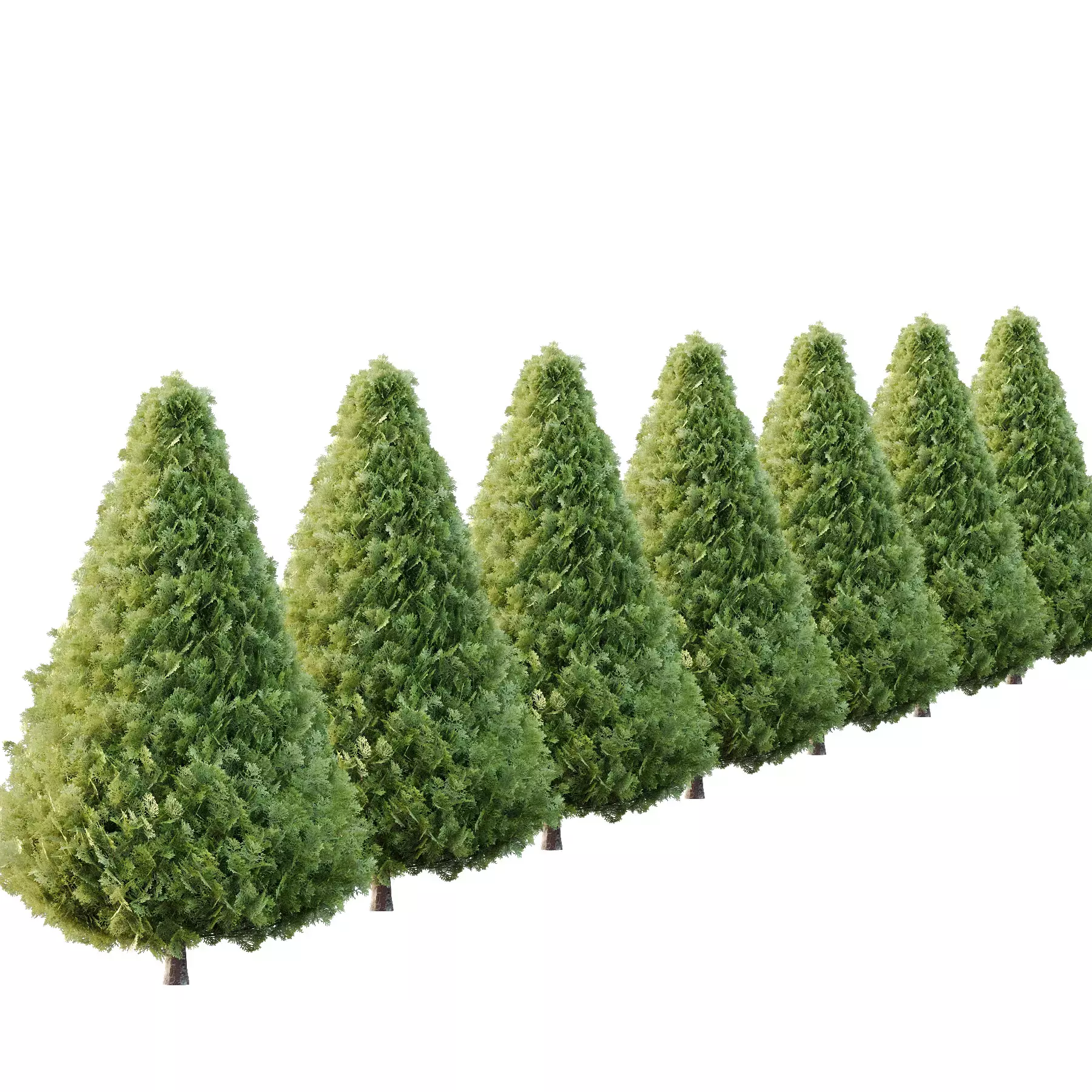 Excellent collection of Tree plants 13 Different Models 0013 _24