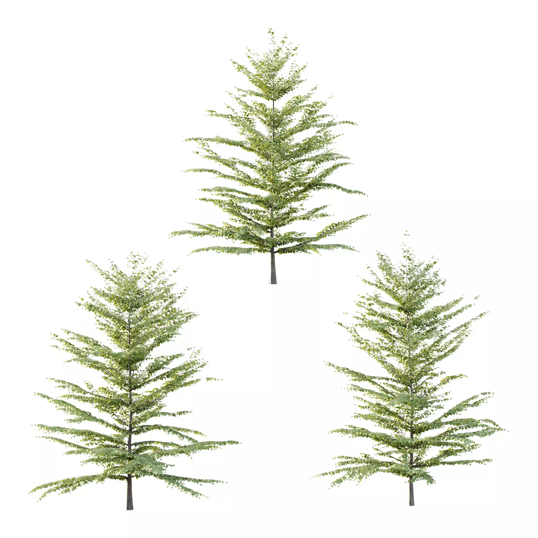 Excellent collection of Tree plants 13 Different Models 0013 _8