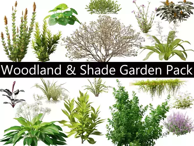 Woodland Shade Garden Pack 53