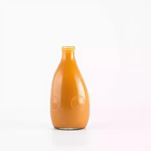 Orange Juice Bottle model pack Low-poly 3D model 2