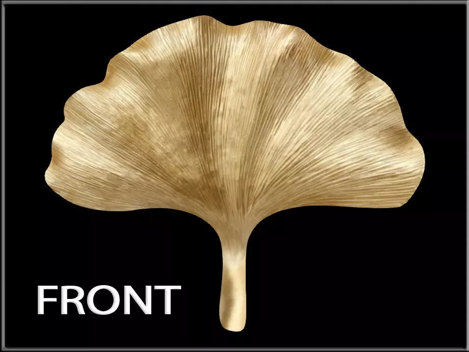 Ginkgo leaf Gold Low-poly 3D model_0