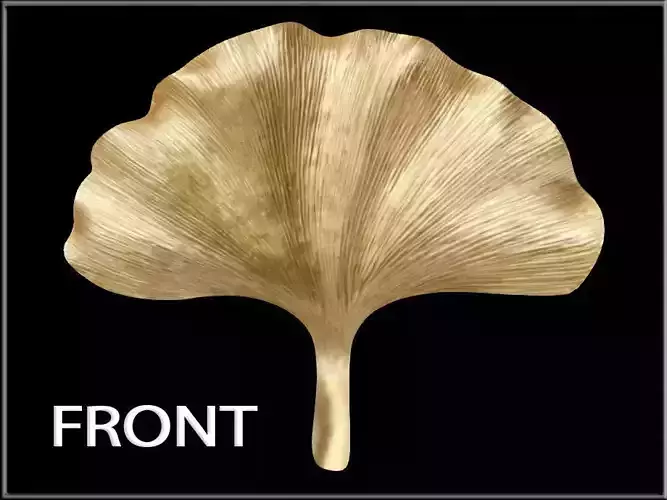 Ginkgo leaf Gold Low-poly 3D model