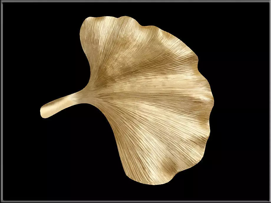 Ginkgo leaf Gold Low-poly 3D model_1
