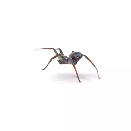 Iridescent Spider model pack Low-poly 3D model