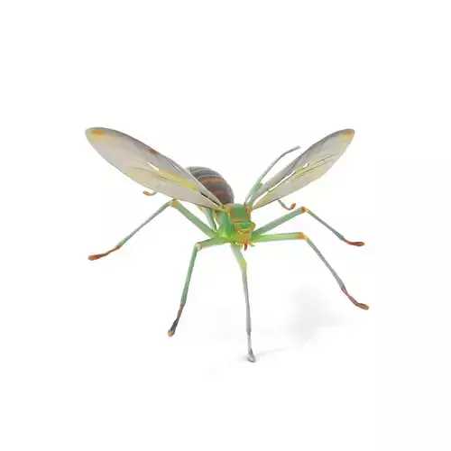 Green Insect Drone model pack Low-poly 3D model