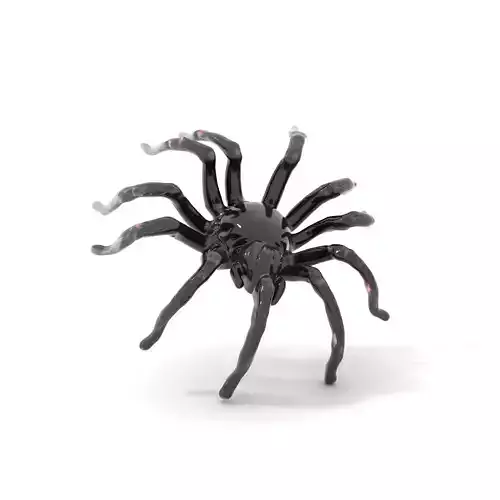 Black Tarantula Intricate model pack Low-poly 3D model