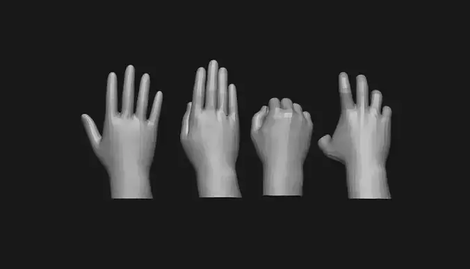 Hands Basemesh