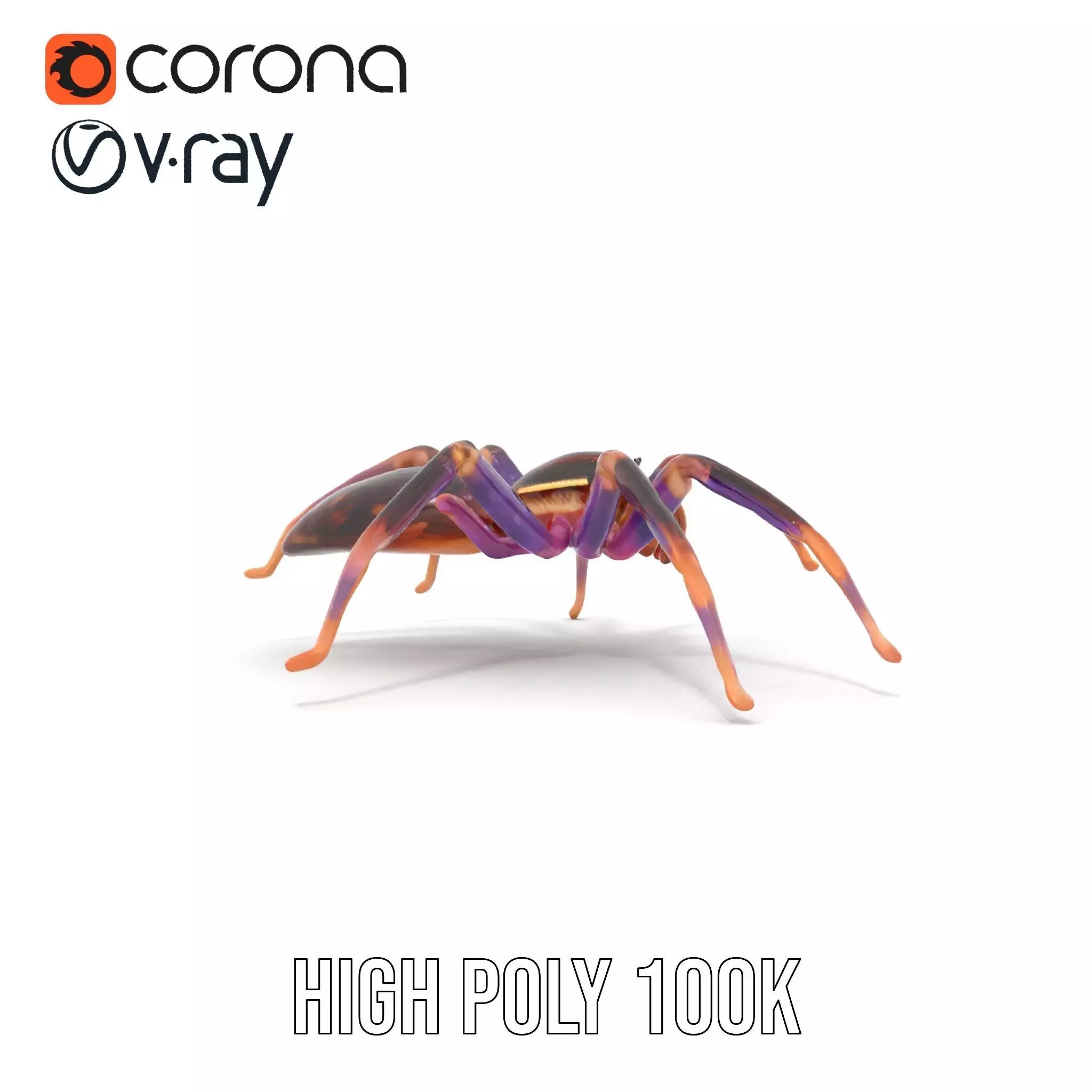 Vibrant Jungle Spider model pack Low-poly 3D model_32