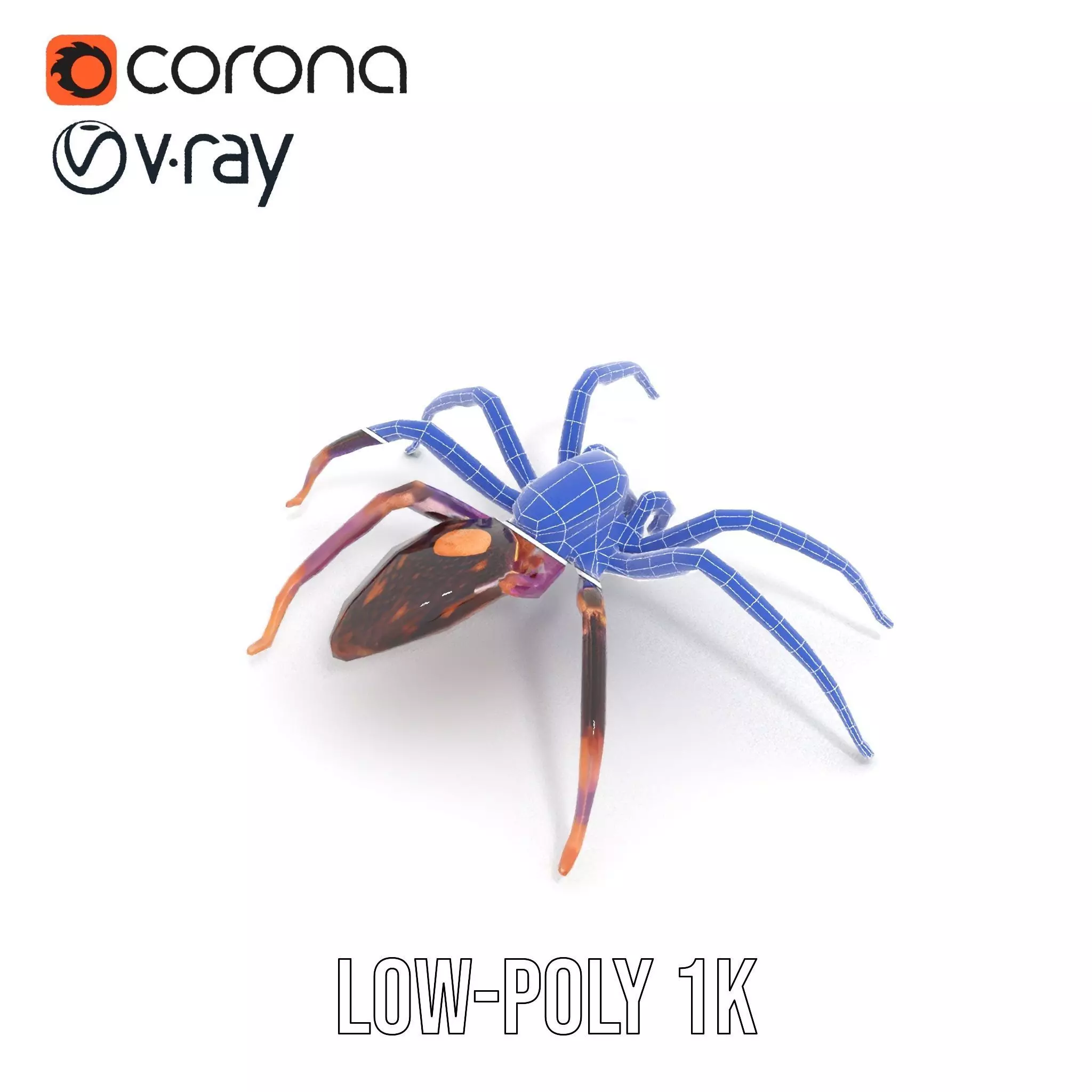 Vibrant Jungle Spider model pack Low-poly 3D model_31