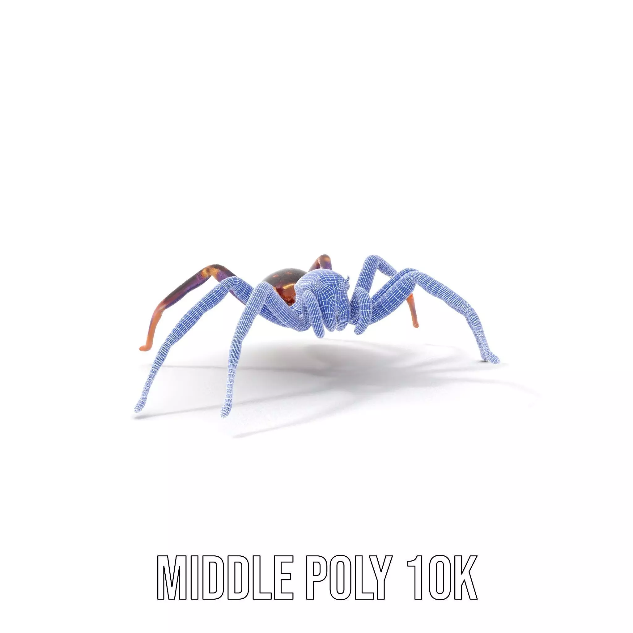 Vibrant Jungle Spider model pack Low-poly 3D model_12