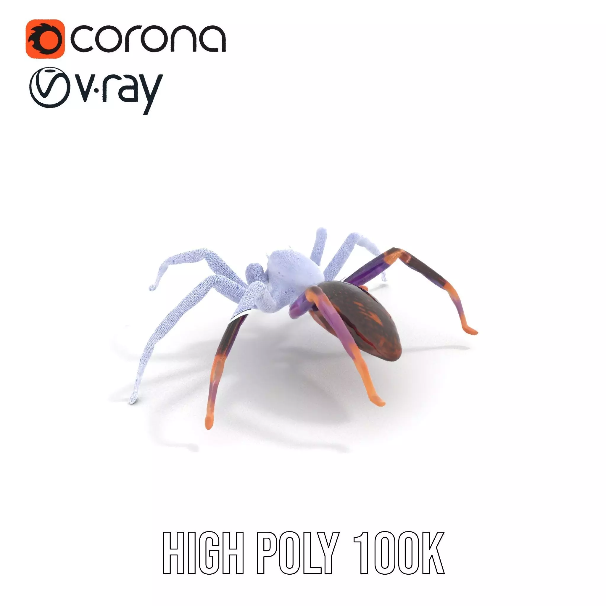 Vibrant Jungle Spider model pack Low-poly 3D model_24