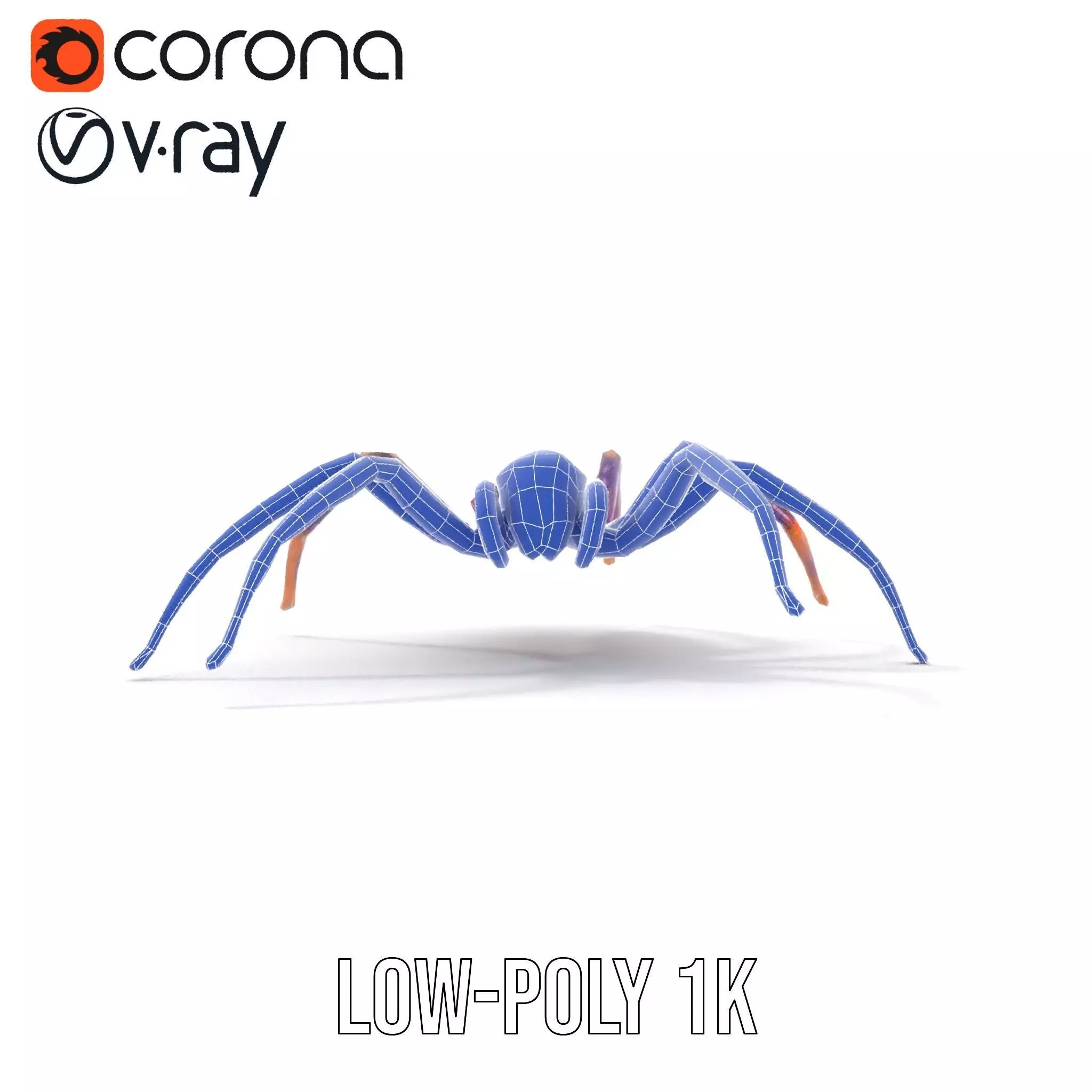 Vibrant Jungle Spider model pack Low-poly 3D model_29