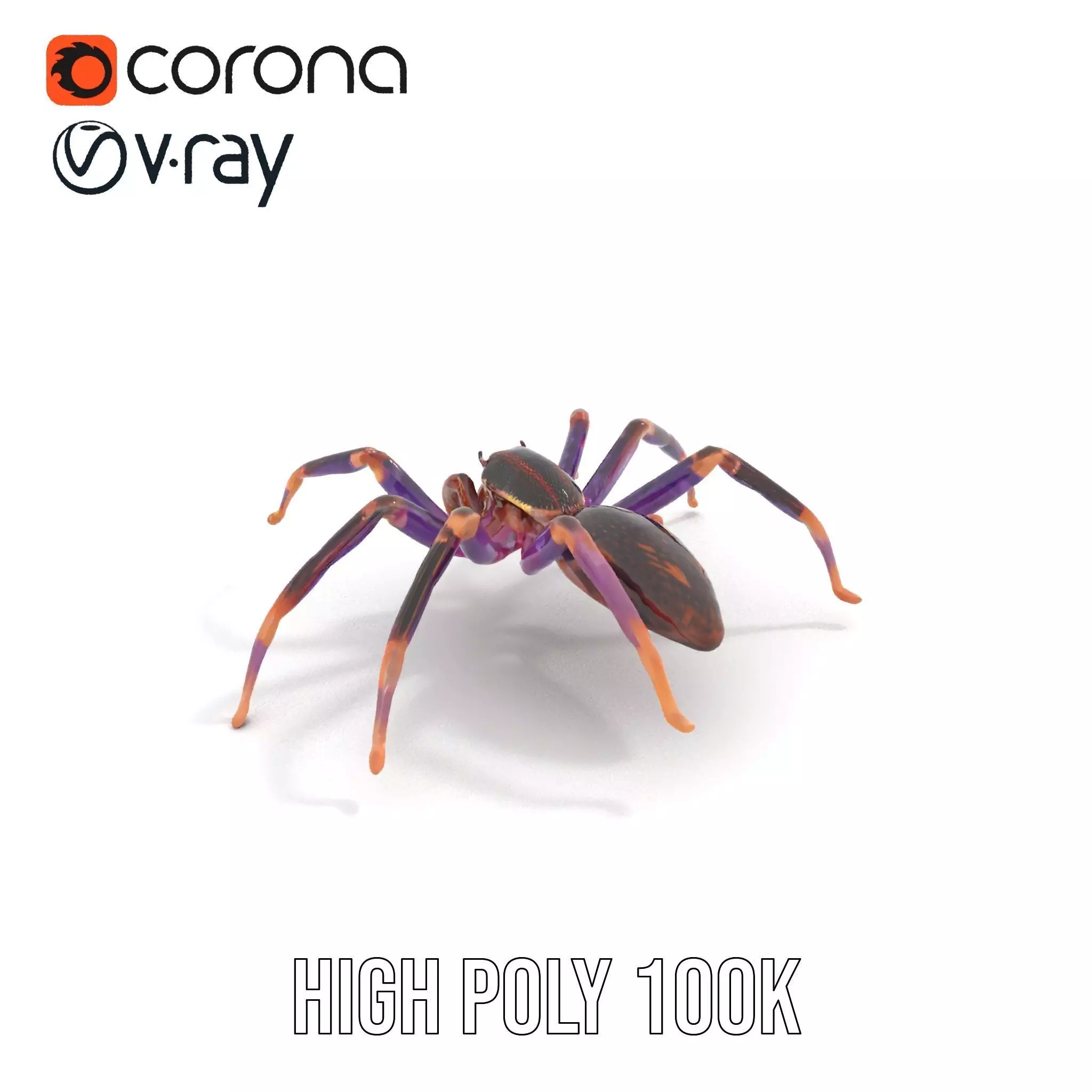 Vibrant Jungle Spider model pack Low-poly 3D model_27