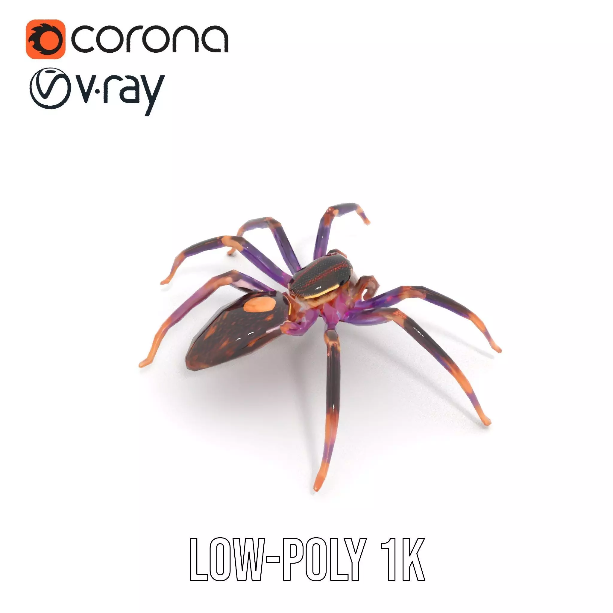 Vibrant Jungle Spider model pack Low-poly 3D model_10