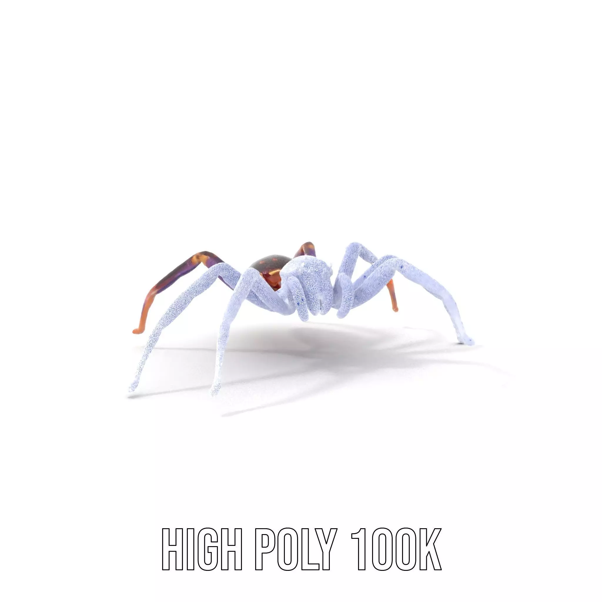 Vibrant Jungle Spider model pack Low-poly 3D model_5
