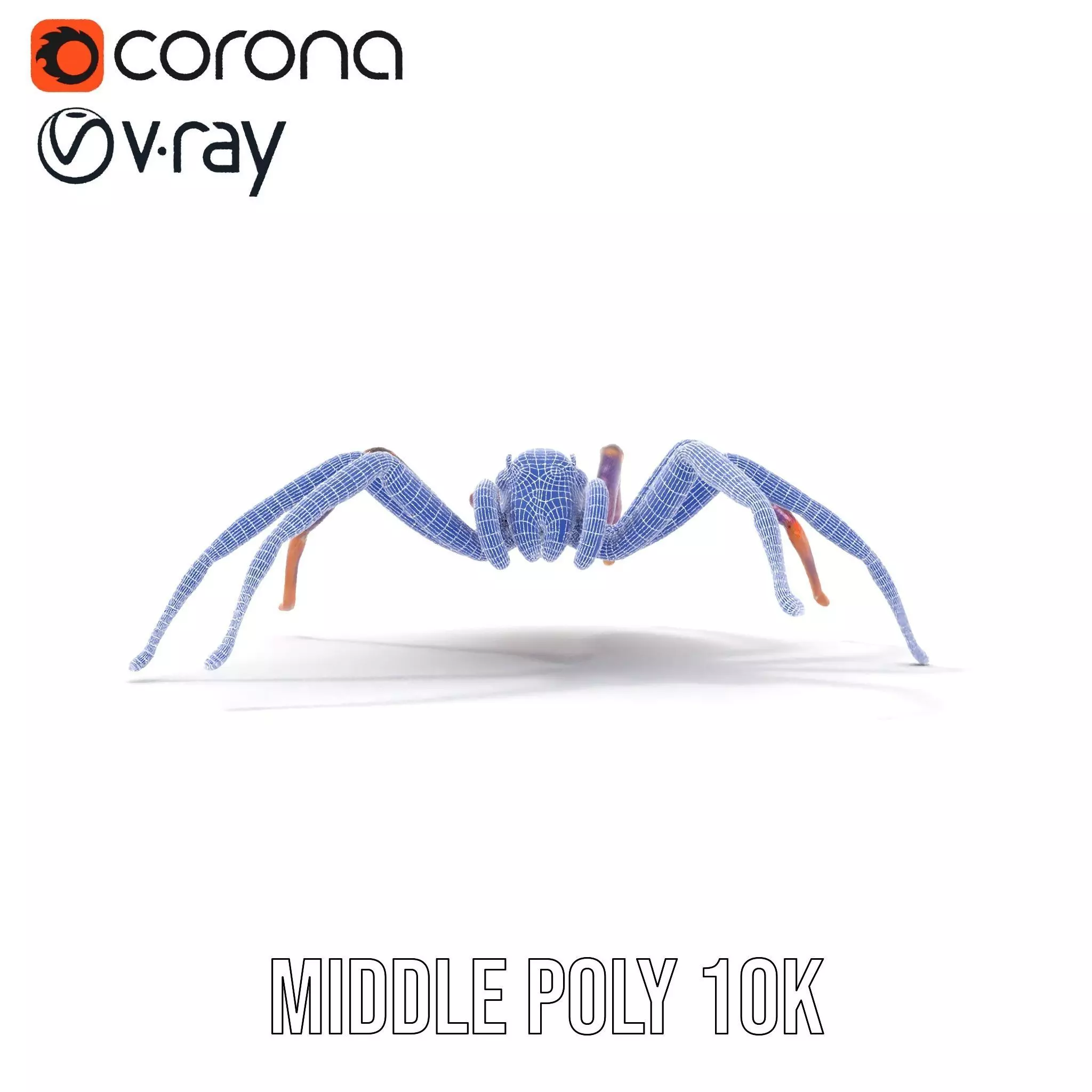 Vibrant Jungle Spider model pack Low-poly 3D model_28