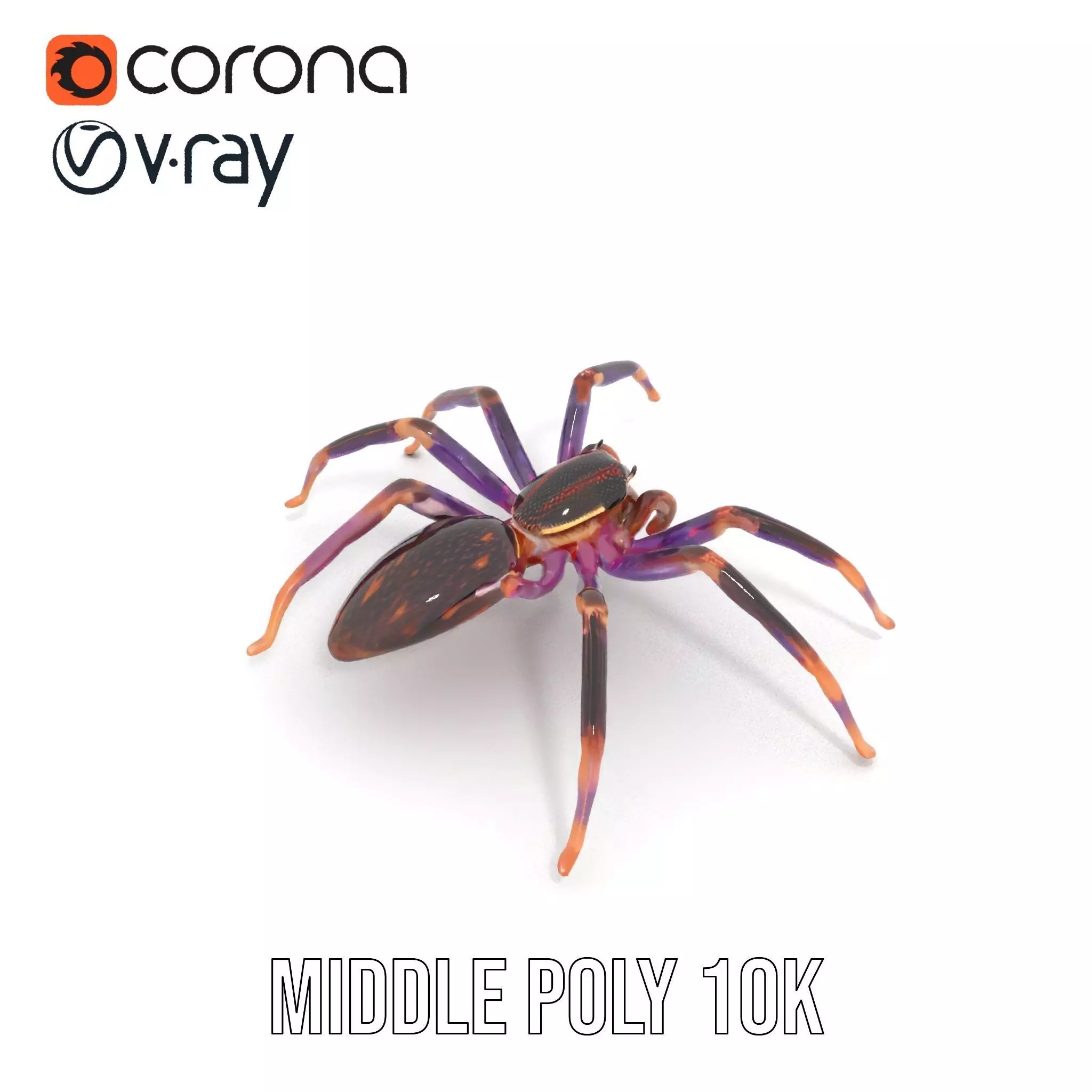 Vibrant Jungle Spider model pack Low-poly 3D model_22