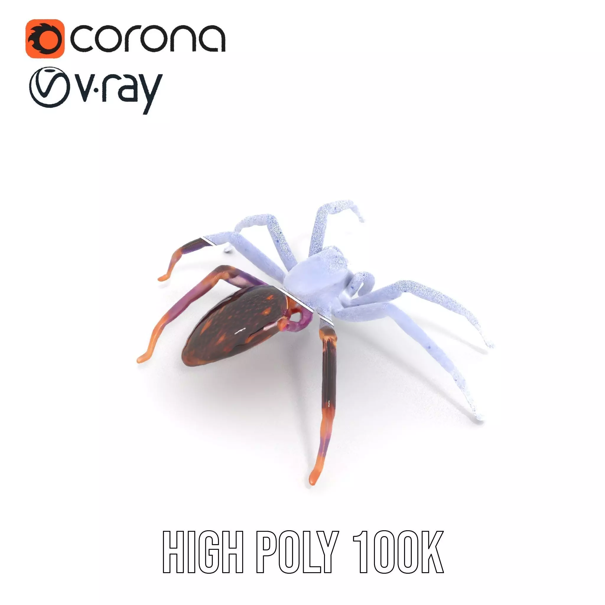 Vibrant Jungle Spider model pack Low-poly 3D model_35