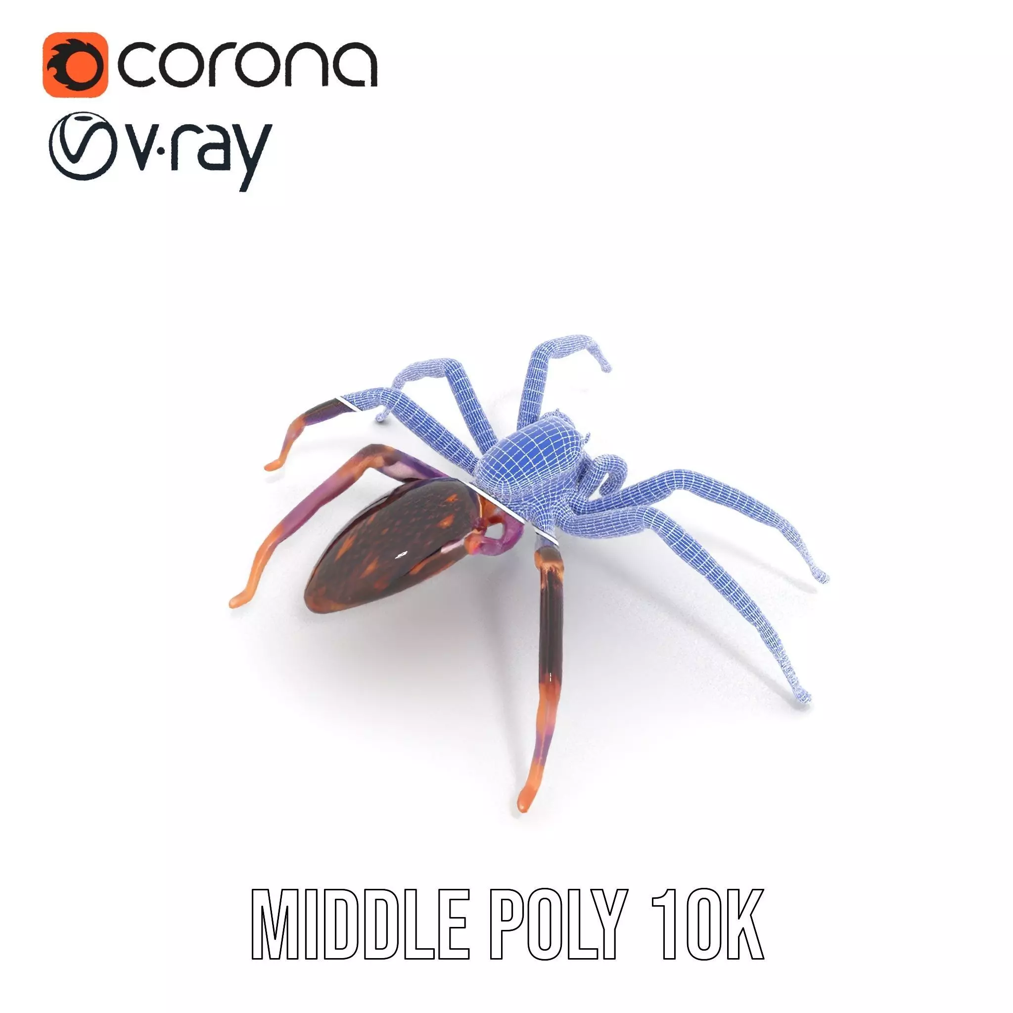 Vibrant Jungle Spider model pack Low-poly 3D model_20