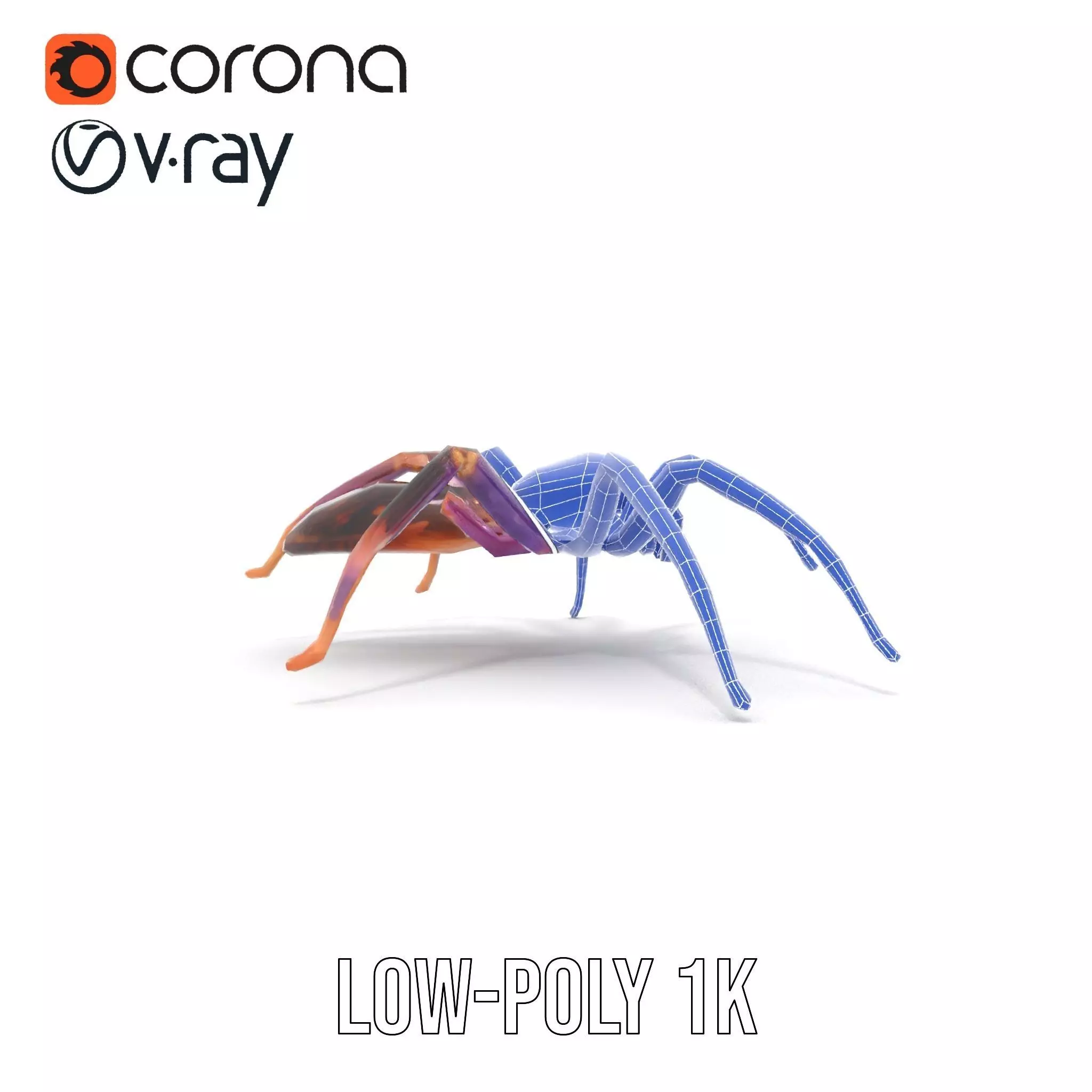 Vibrant Jungle Spider model pack Low-poly 3D model_13