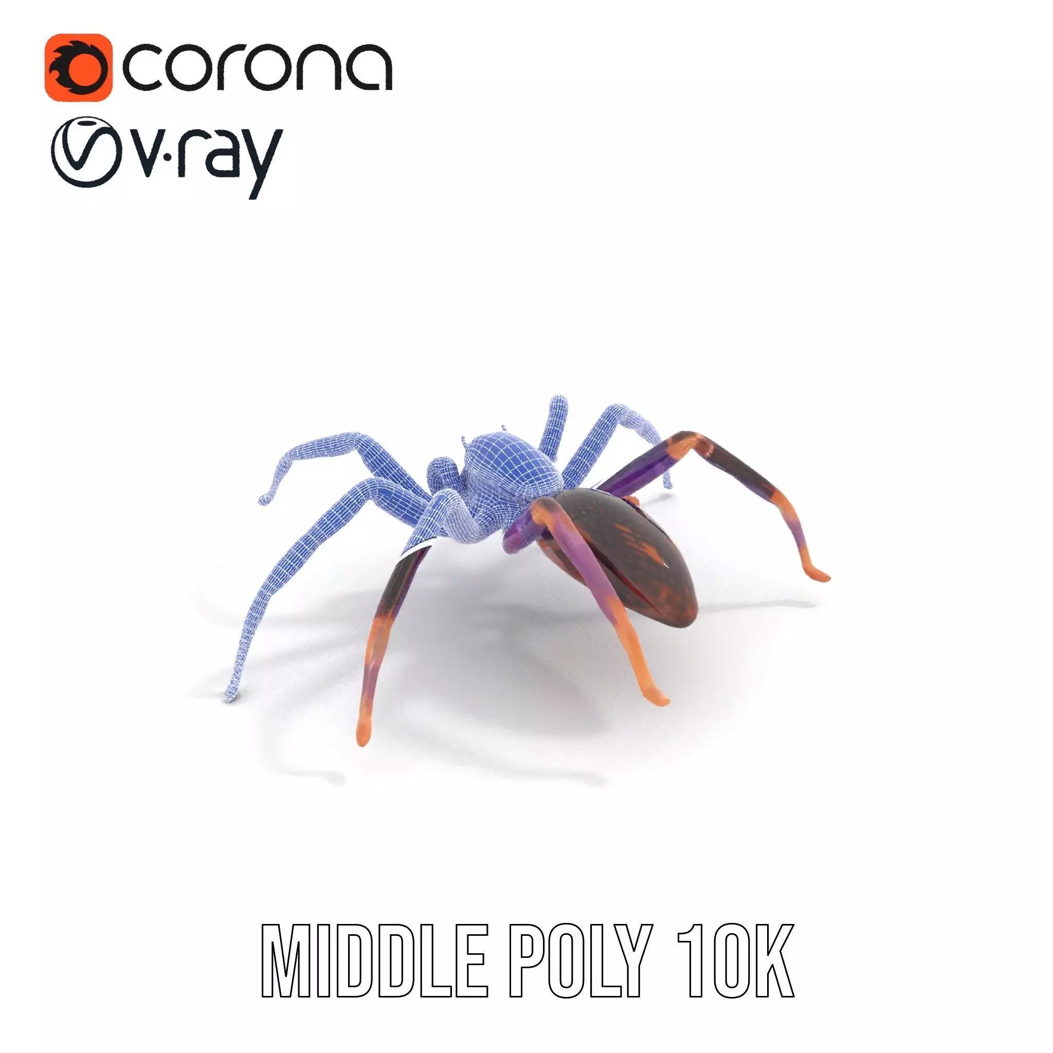 Vibrant Jungle Spider model pack Low-poly 3D model_7