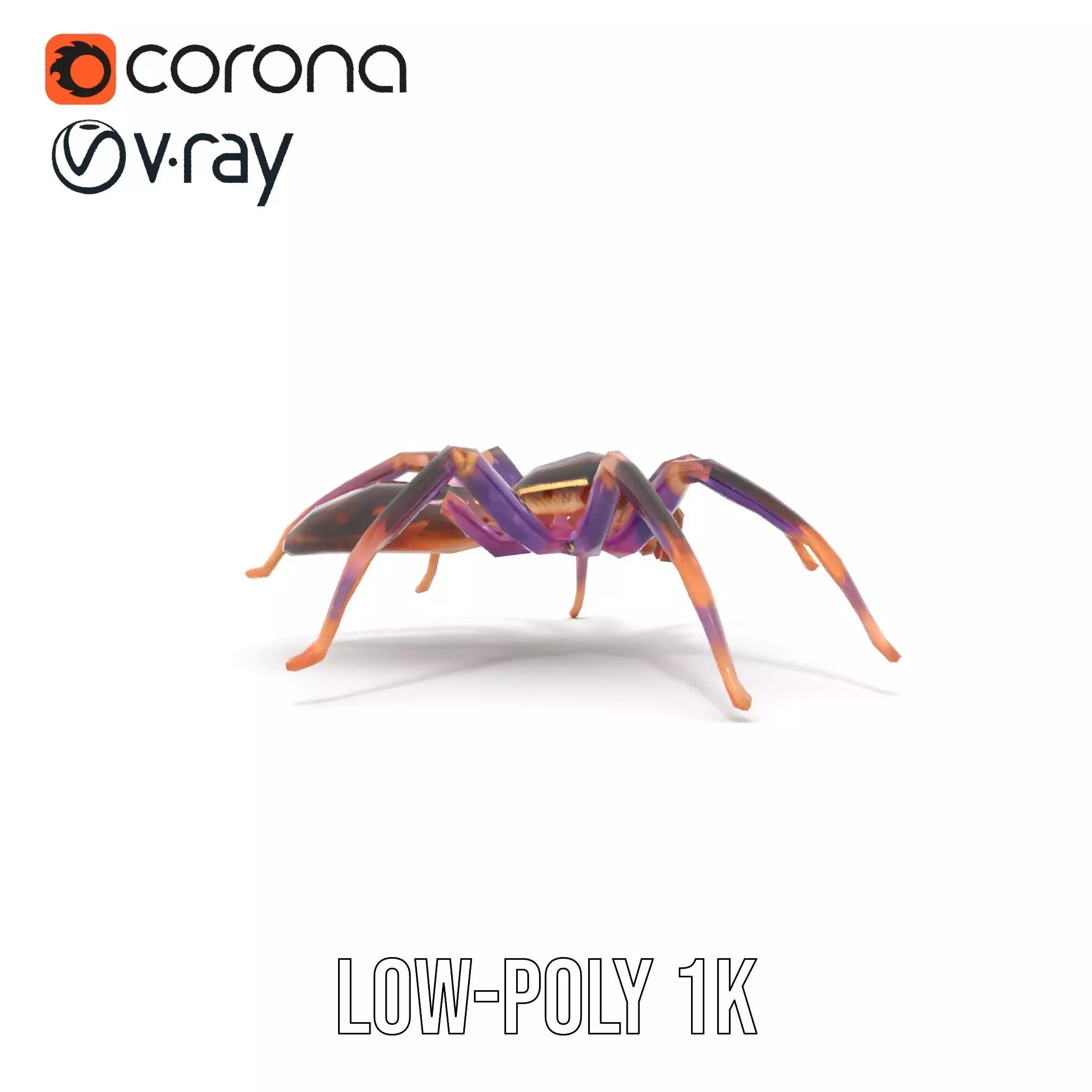 Vibrant Jungle Spider model pack Low-poly 3D model_23