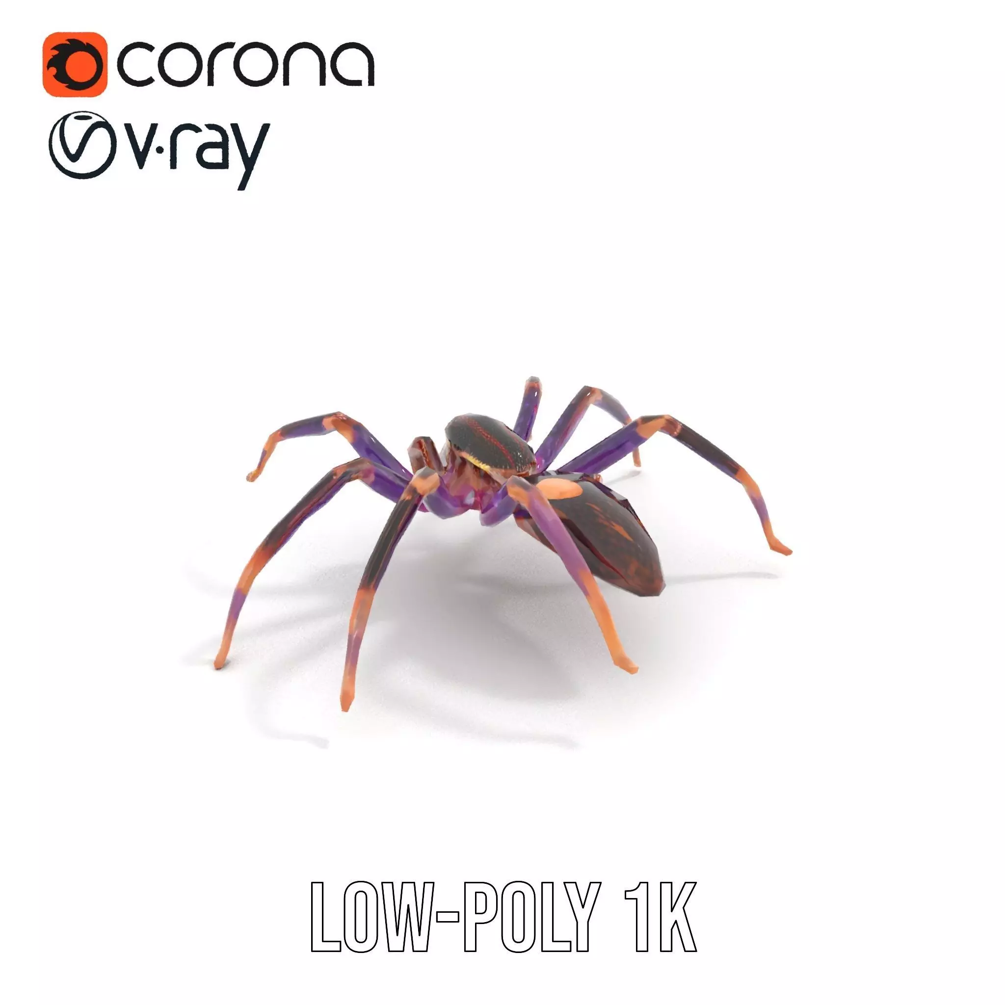 Vibrant Jungle Spider model pack Low-poly 3D model_8