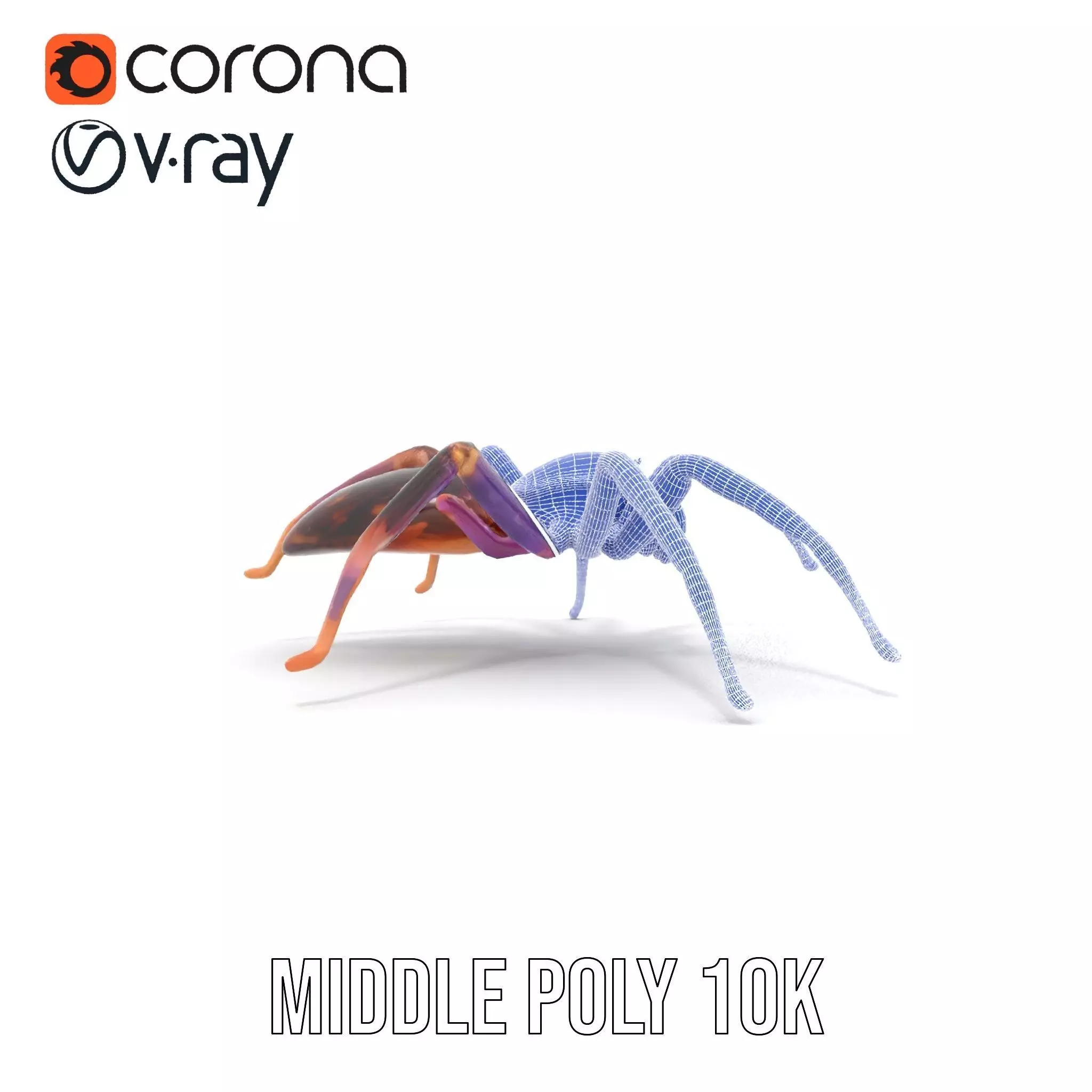Vibrant Jungle Spider model pack Low-poly 3D model_30