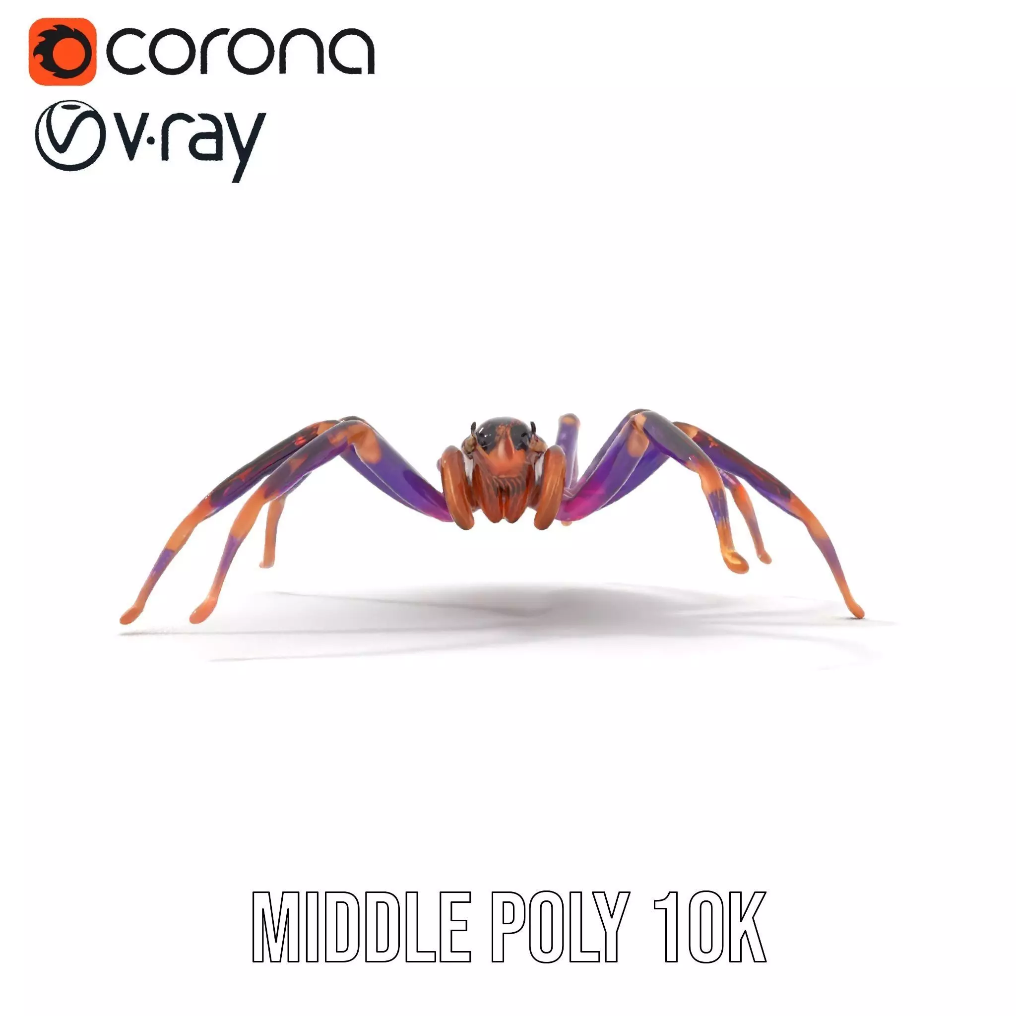 Vibrant Jungle Spider model pack Low-poly 3D model_14