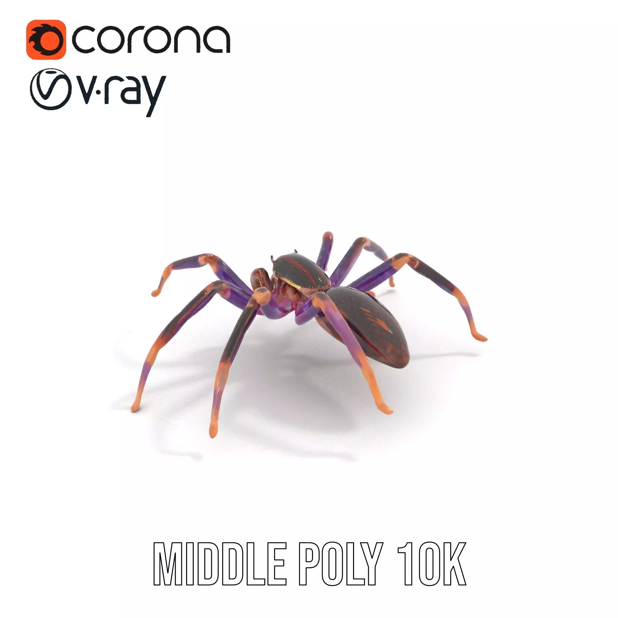 Vibrant Jungle Spider model pack Low-poly 3D model_17