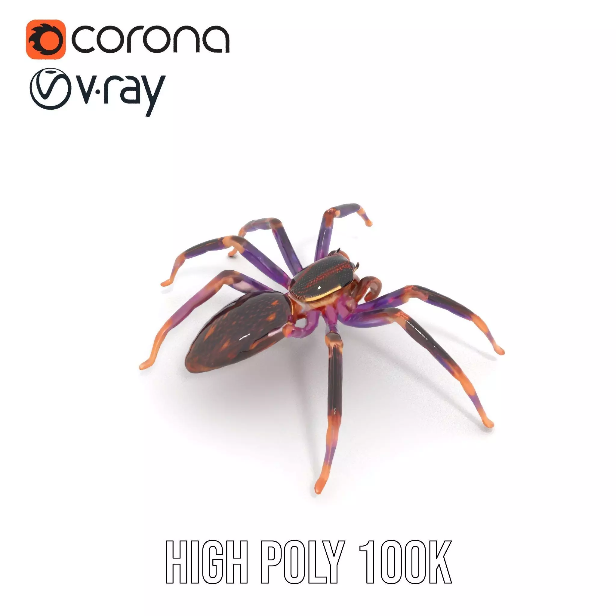 Vibrant Jungle Spider model pack Low-poly 3D model_16