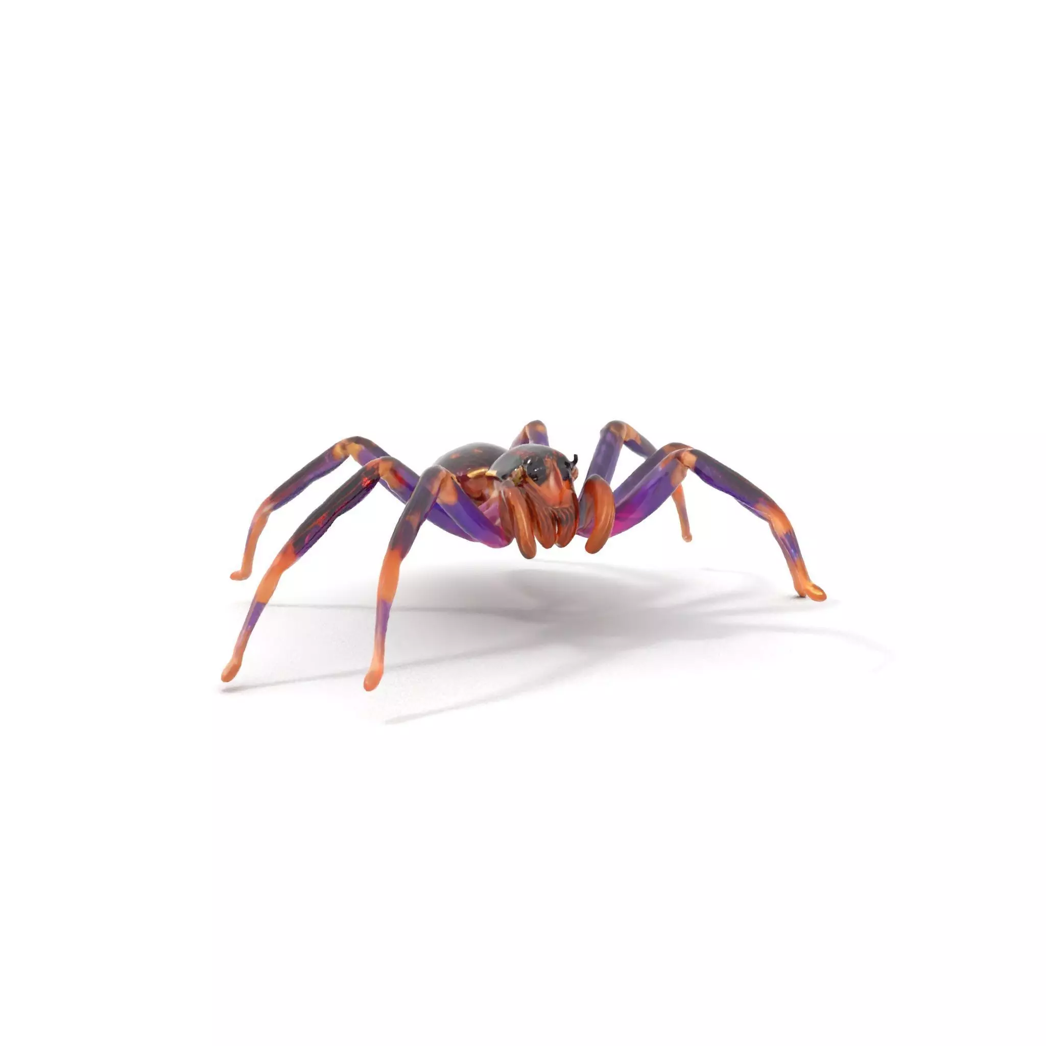 Vibrant Jungle Spider model pack Low-poly 3D model_0