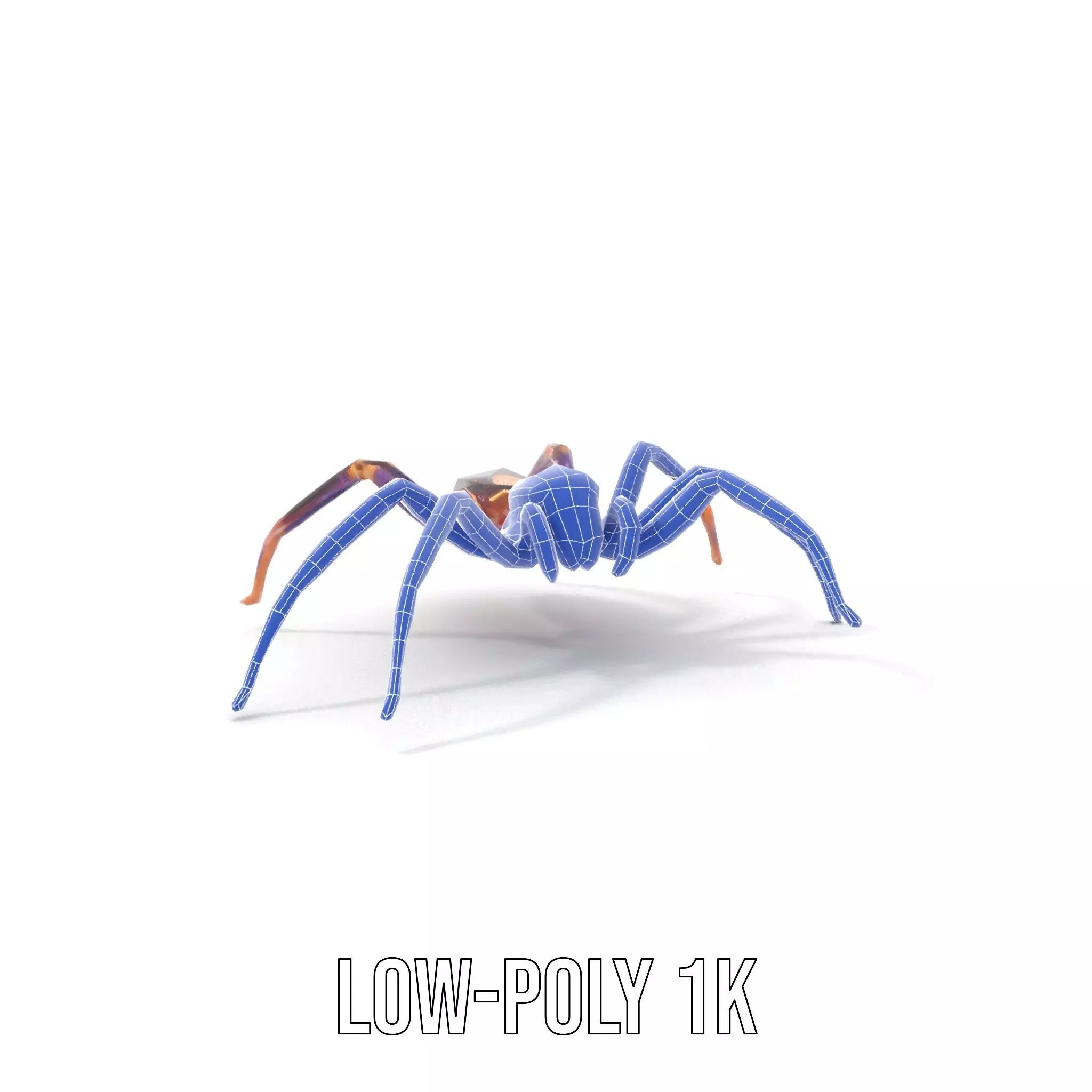 Vibrant Jungle Spider model pack Low-poly 3D model_15
