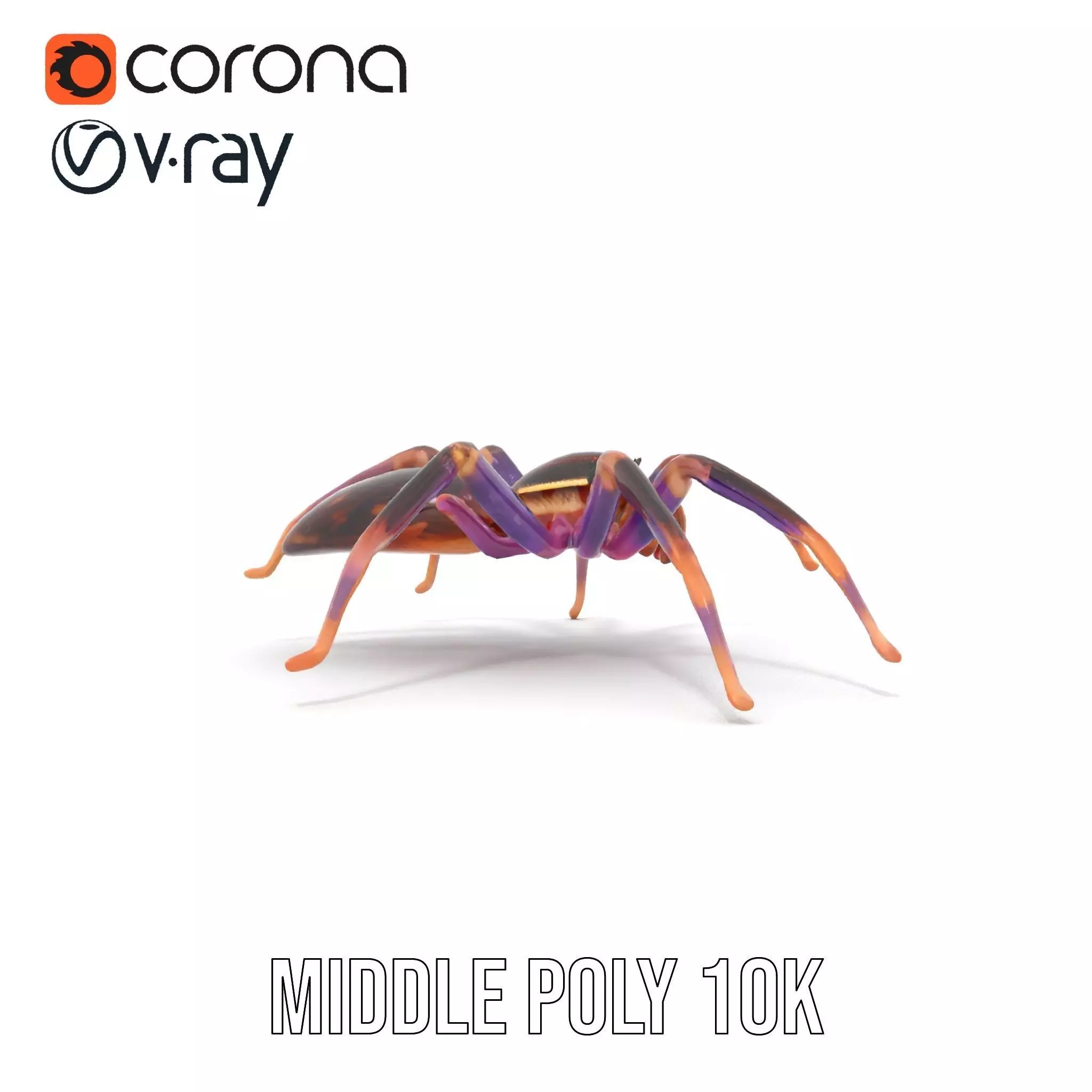 Vibrant Jungle Spider model pack Low-poly 3D model_25