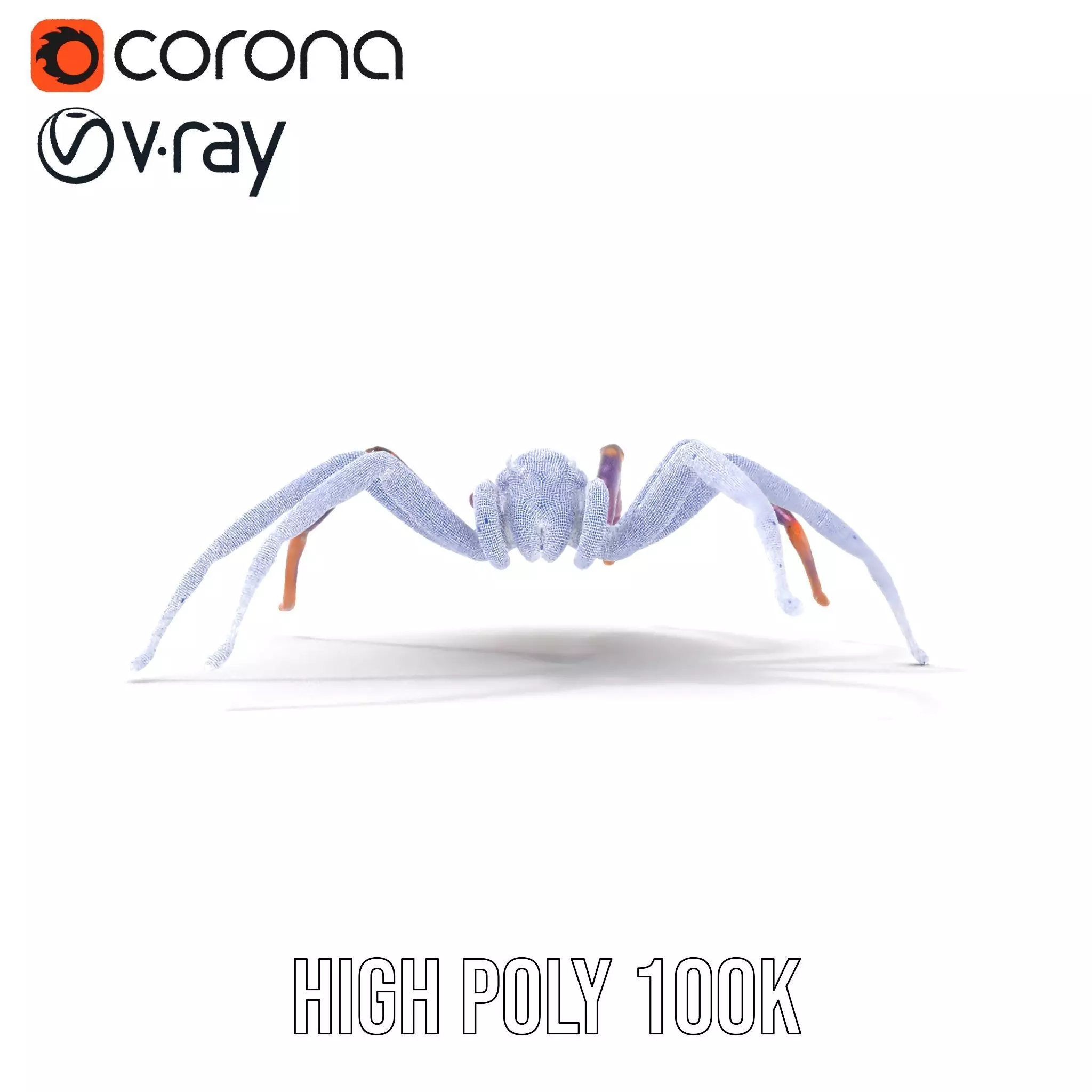 Vibrant Jungle Spider model pack Low-poly 3D model_33