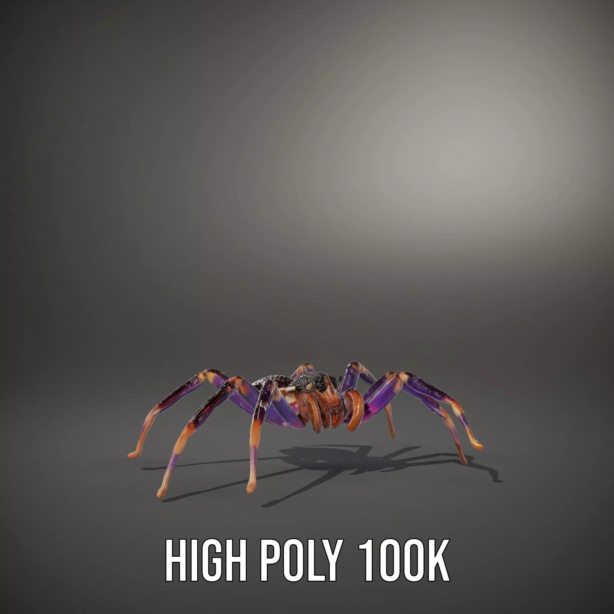 Vibrant Jungle Spider model pack Low-poly 3D model_9