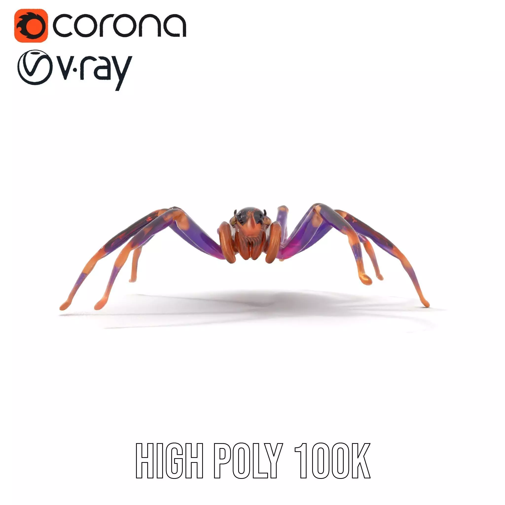 Vibrant Jungle Spider model pack Low-poly 3D model_19