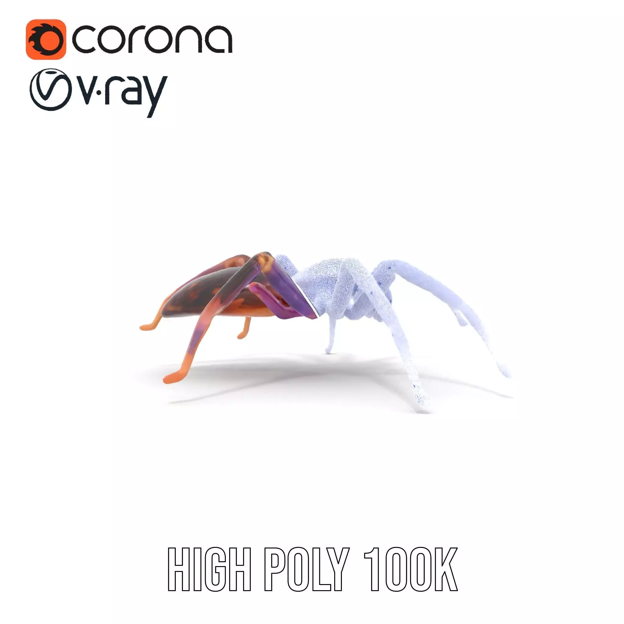 Vibrant Jungle Spider model pack Low-poly 3D model_34